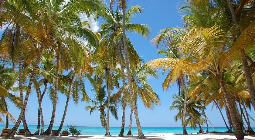 Photo of Others in Dominicus