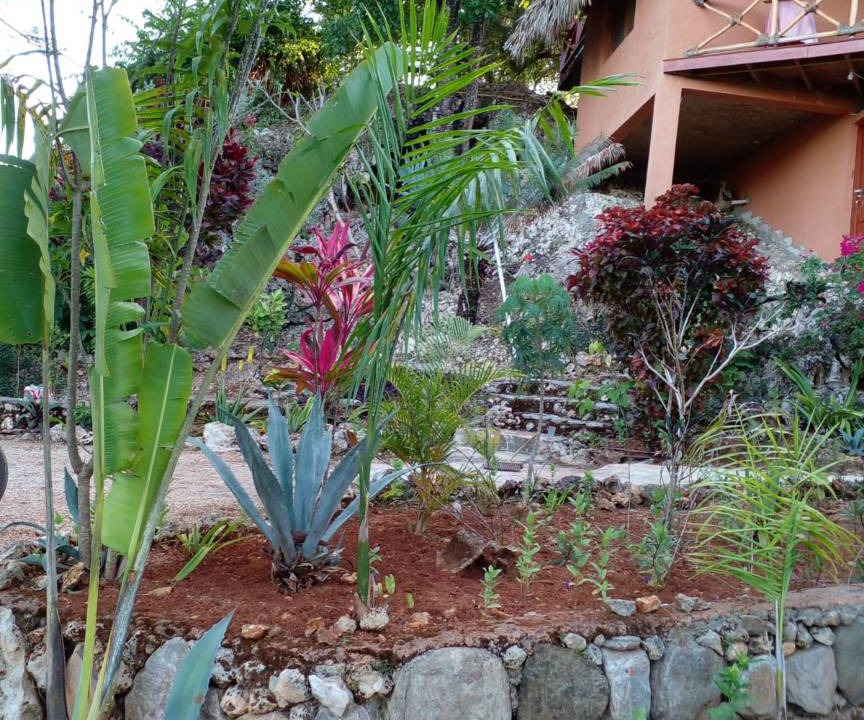 Photo of Others in Las Galeras