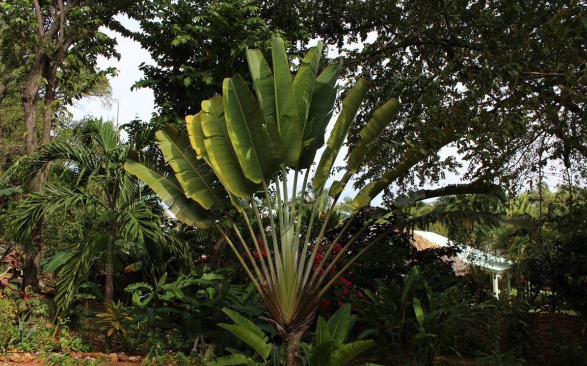 Photo of Others in Las Galeras