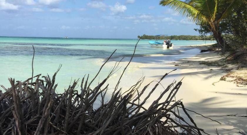 Photo of Others in Dominicus