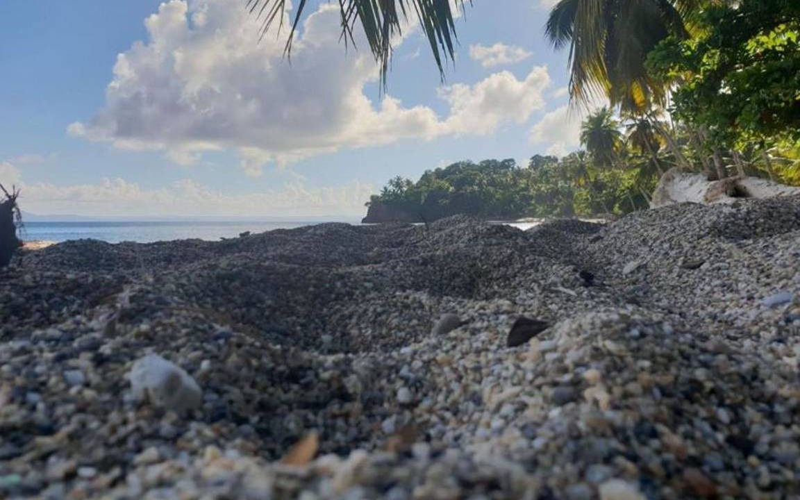 Photo of Others in Samana