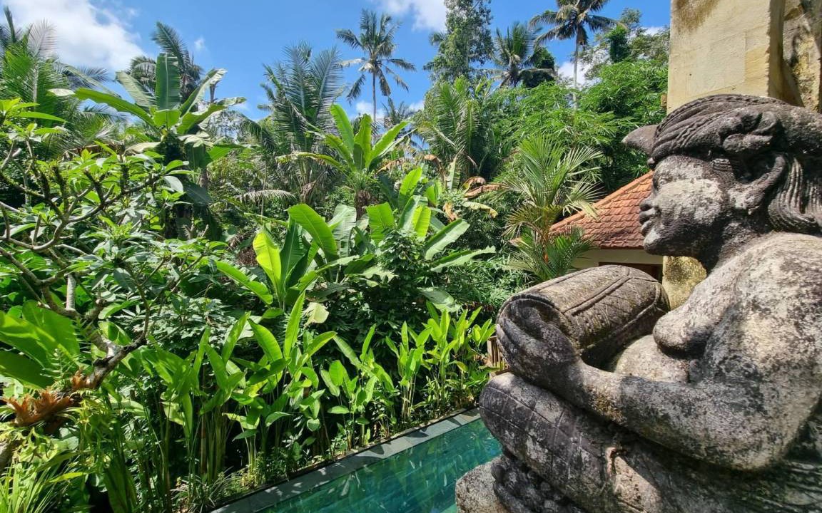 Photo of Outdoor in Pejeng