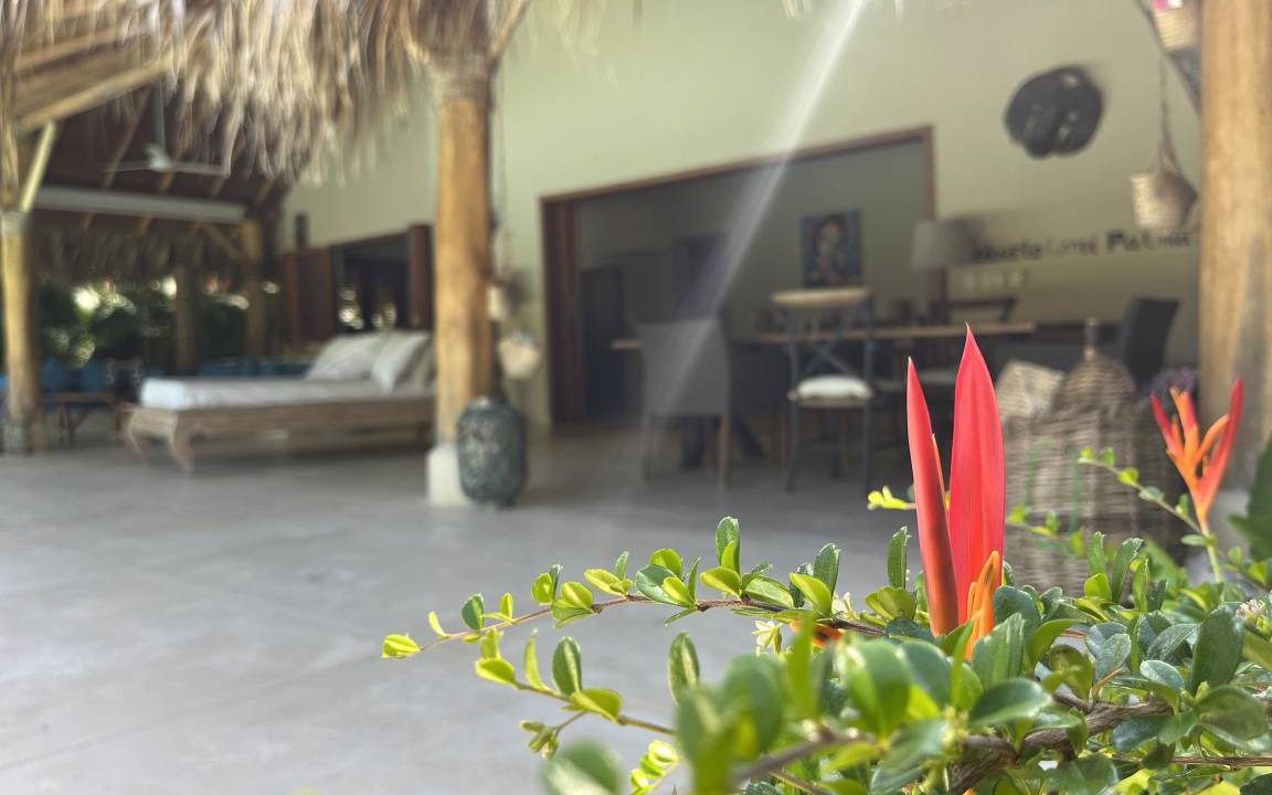 Photo of Others in Las Terrenas