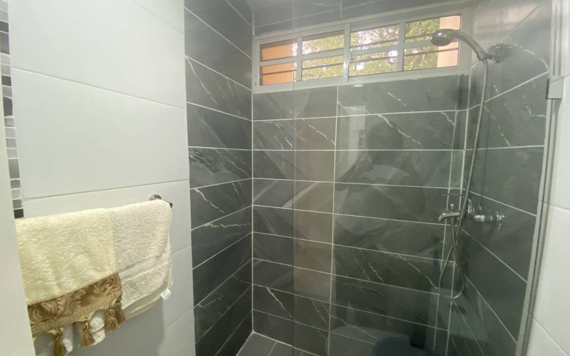 Photo of Bathroom in Santiago Province