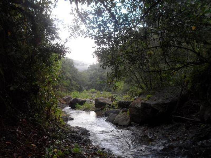 Photo of Others in Rancho Arriba