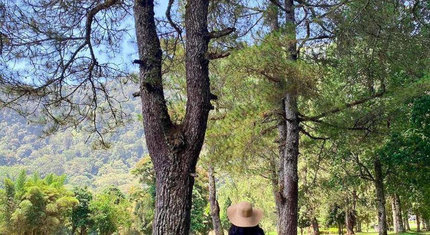 Photo of Others in Bedugul