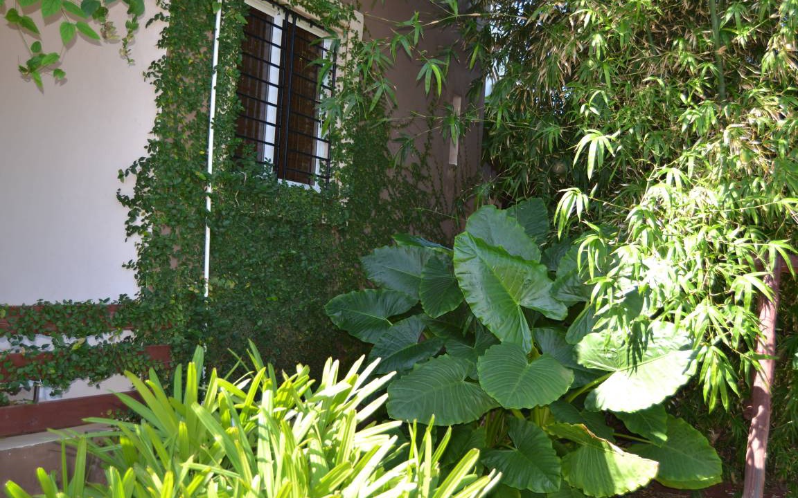 Photo of Others in La Cienaga