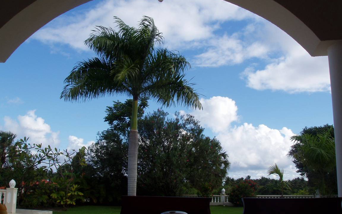 Photo of Others in Puerto Plata