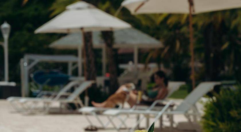 Photo of Others in Puerto Bahia