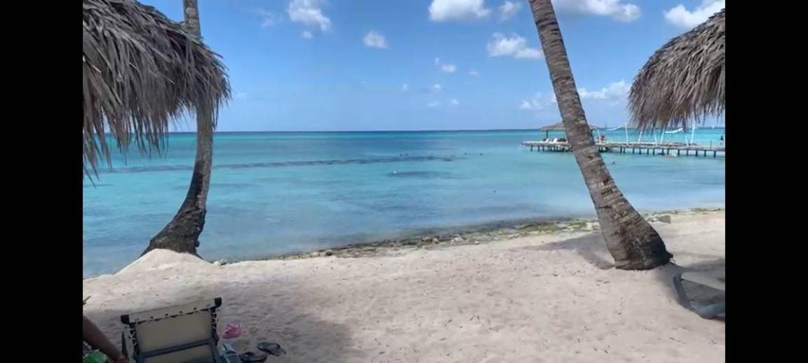 Photo of Others in Dominicus