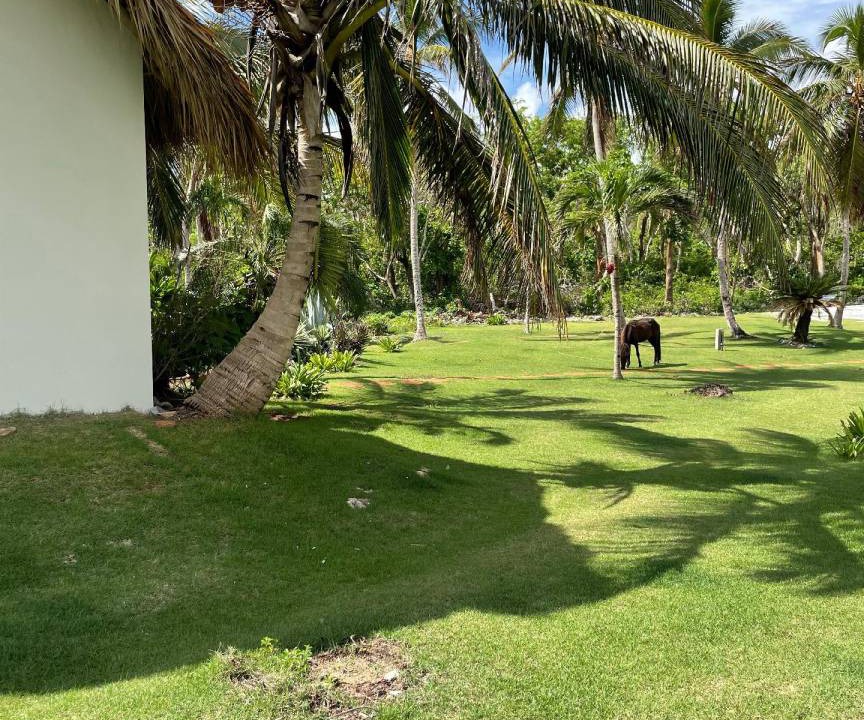 Photo of Others in Samana