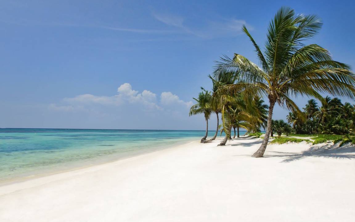 Photo of Others in Bavaro