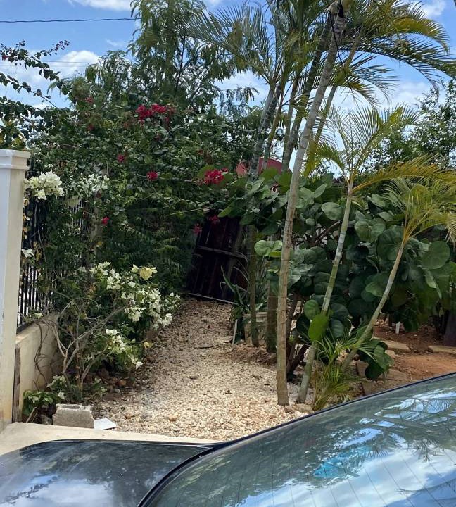 Photo of Others in La Romana