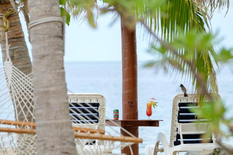 Photo of Others in South Sea Island
