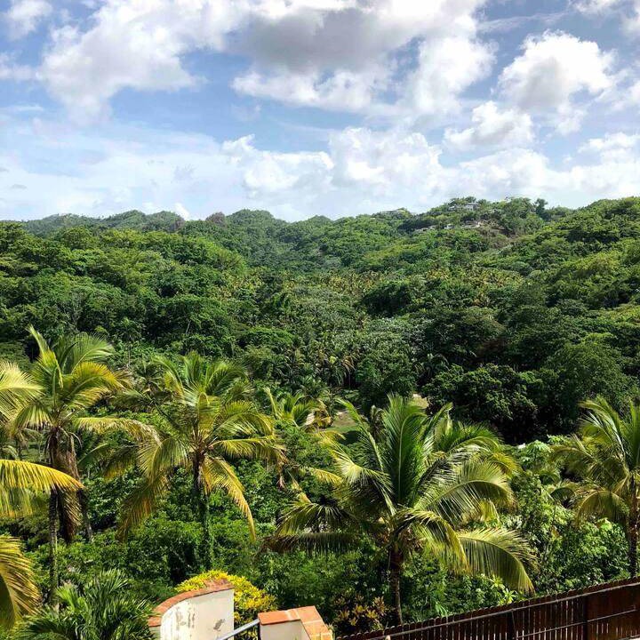 Photo of Others in Las Terrenas
