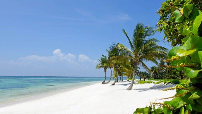Photo of Others in Bavaro