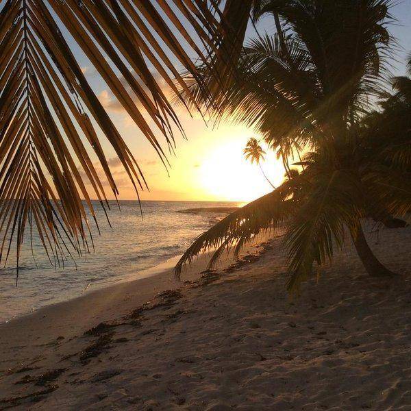 Photo of Others in Dominicus