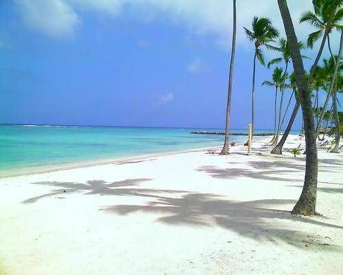 Photo of Others in Bavaro