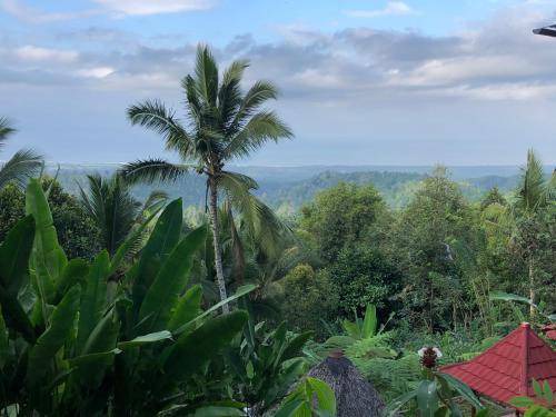 Photo of Outdoor in Pekutatan