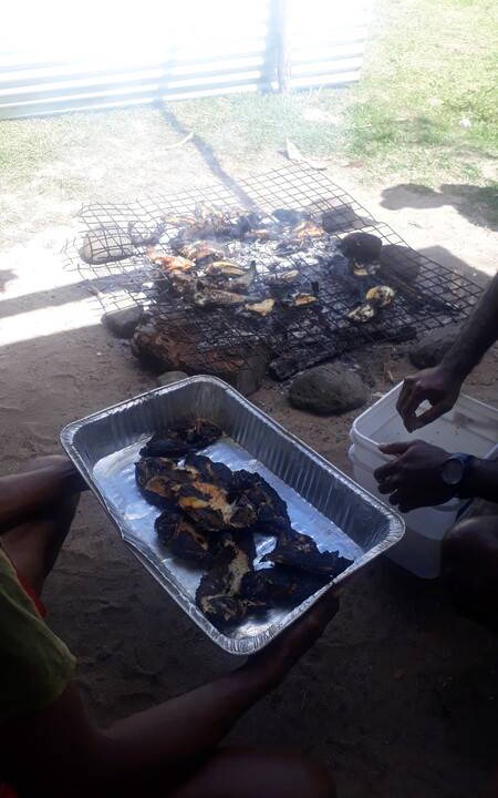Photo of Others in Taveuni Island East