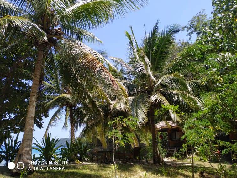 Photo of Others in Batudaka Island