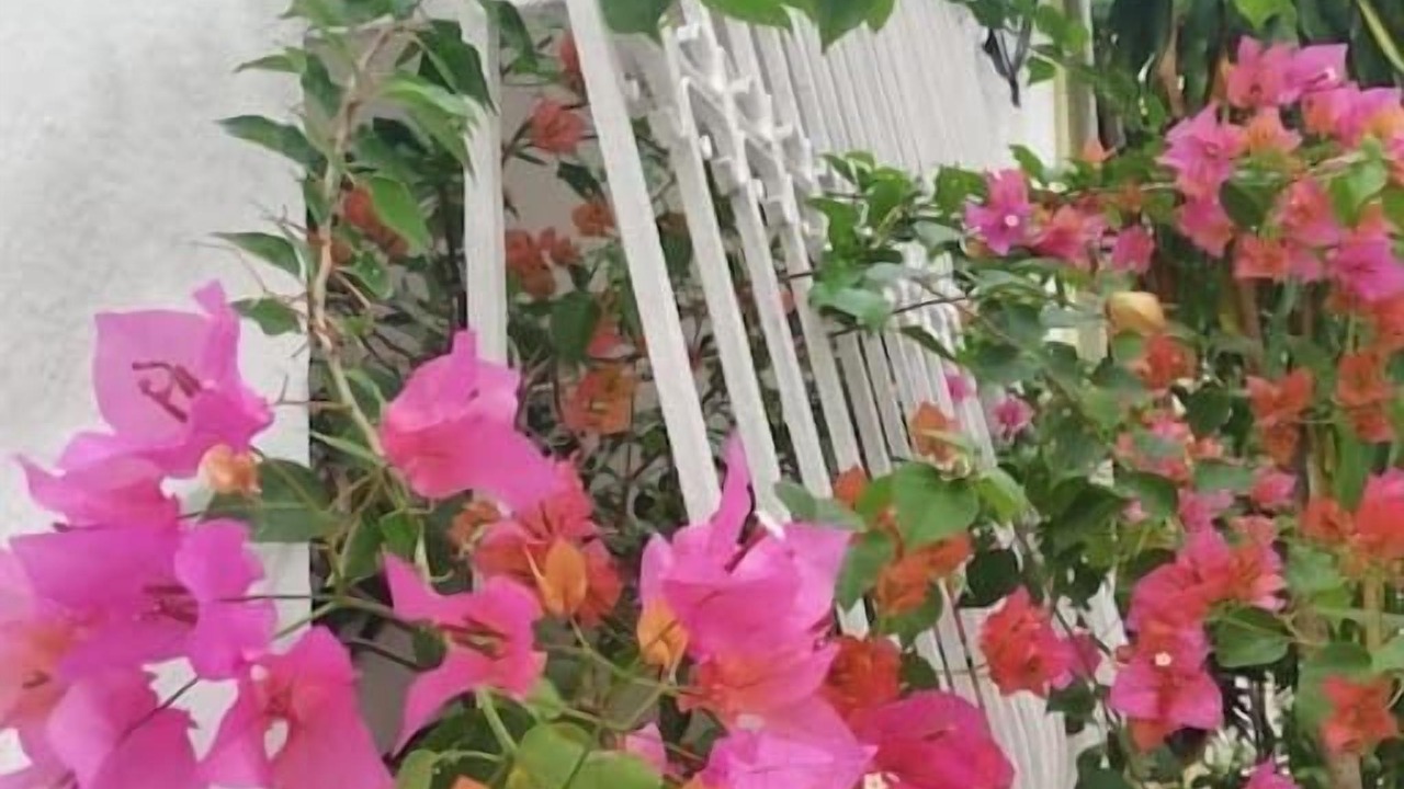 Photo of Outdoor in San Anton