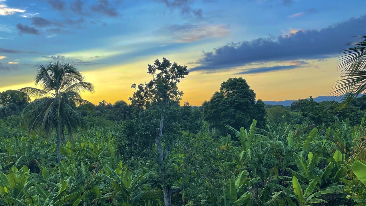Photo of Outdoor in Licey al Medio