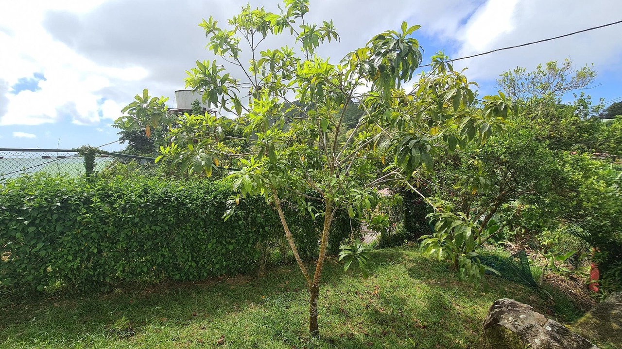 Photo of Outdoor in La Misere
