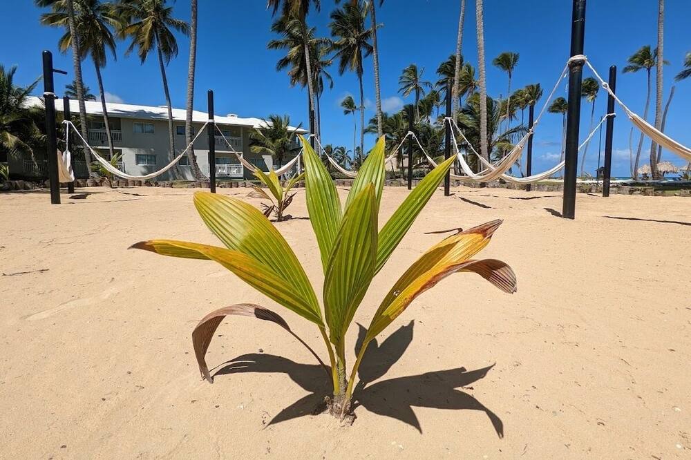Photo of Others in Punta Cana