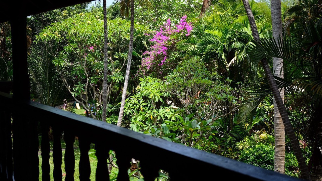 Photo of Others in Dyanapura