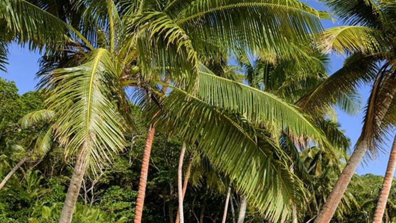 Photo of Outdoor in Nawi