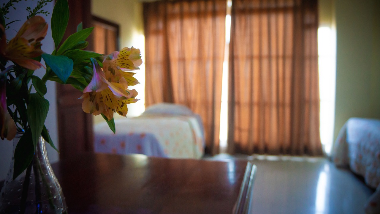 Photo of Bedroom in Gascue