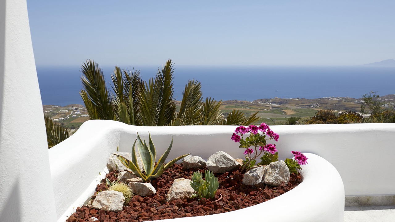 Photo of Others in Fira