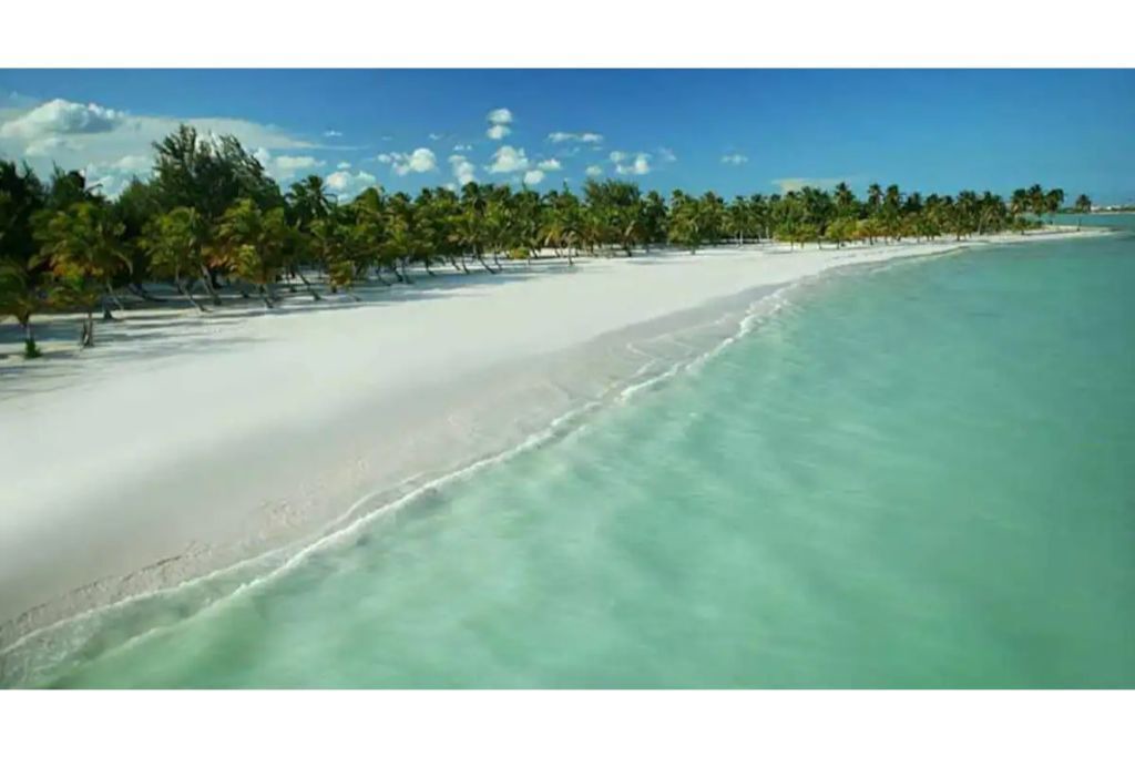 Photo of Others in Cap Cana Marina
