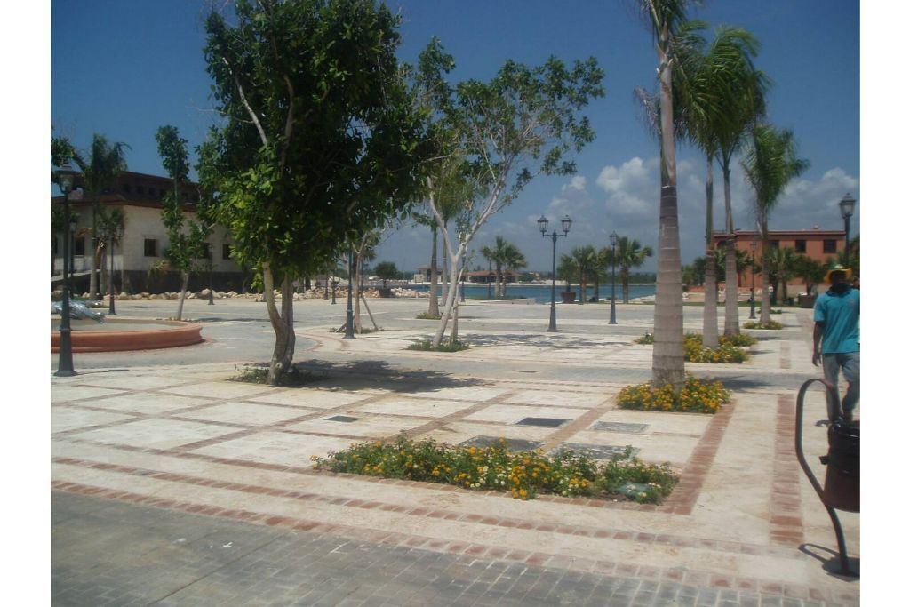 Photo of Others in Cap Cana Marina