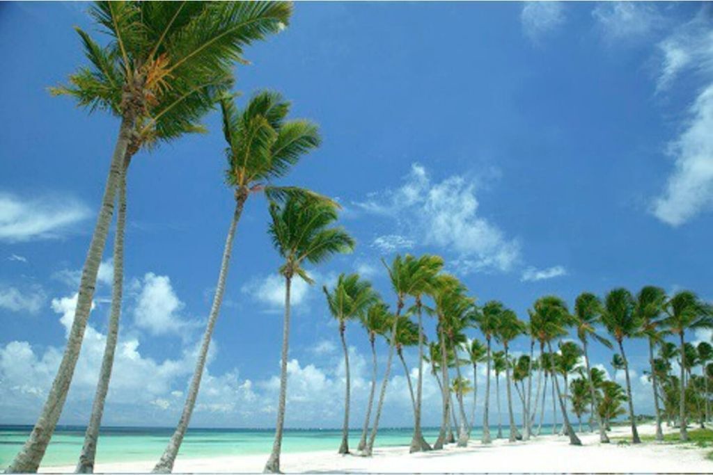 Photo of Others in Cap Cana Marina