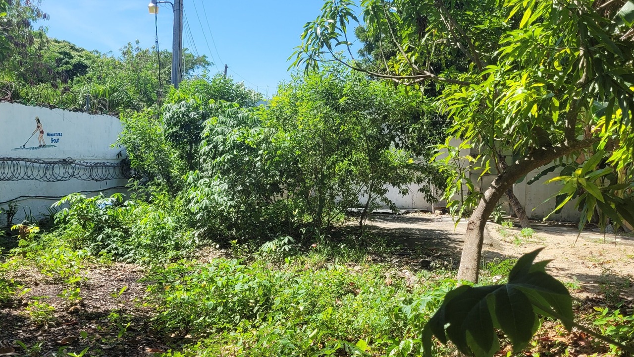 Photo of Others in Guayacanes