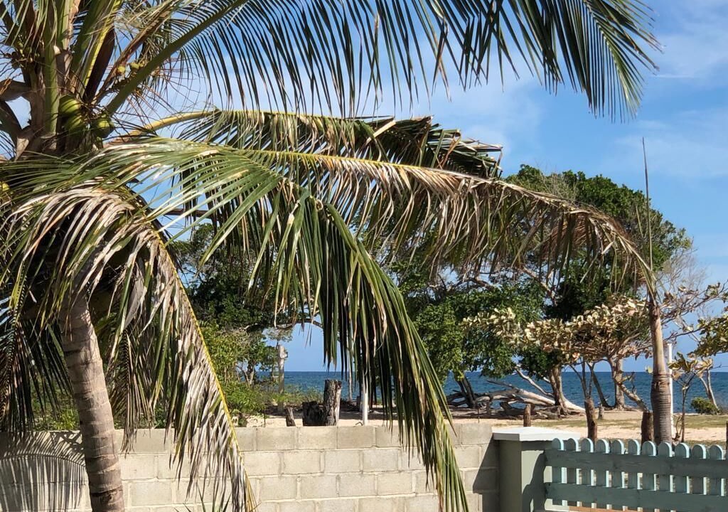 Photo of Others in Punta Rucia