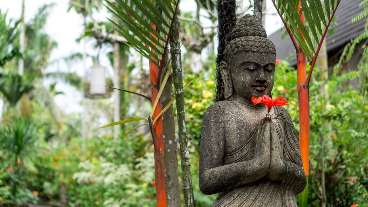 Photo of Outdoor in Ubud City-Centre