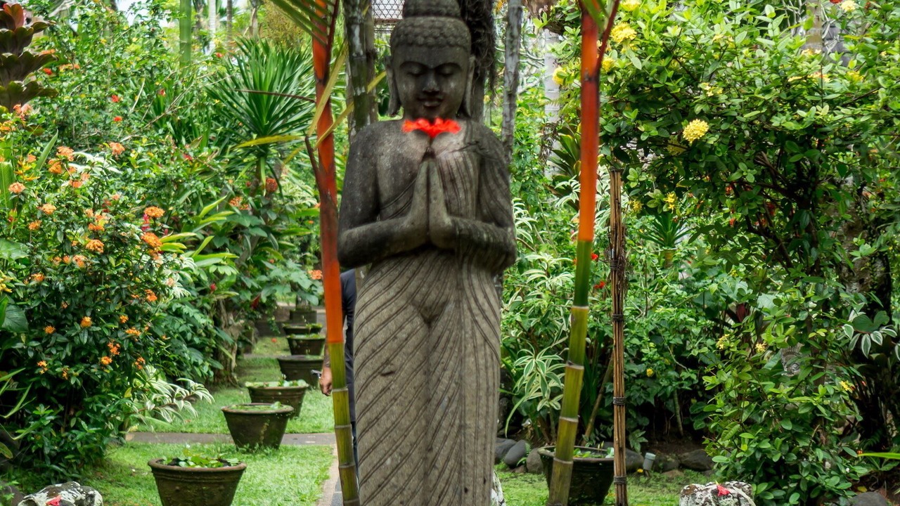Photo of Outdoor in Ubud City-Centre