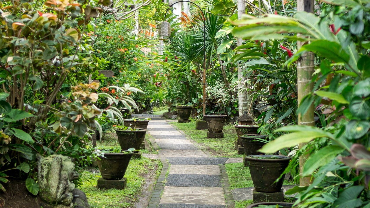 Photo of Outdoor in Ubud City-Centre