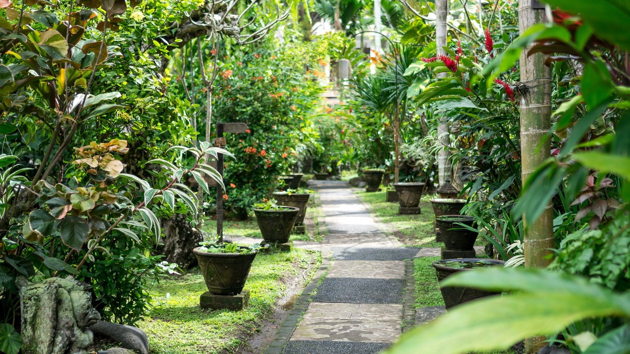 Photo of Outdoor in Ubud City-Centre