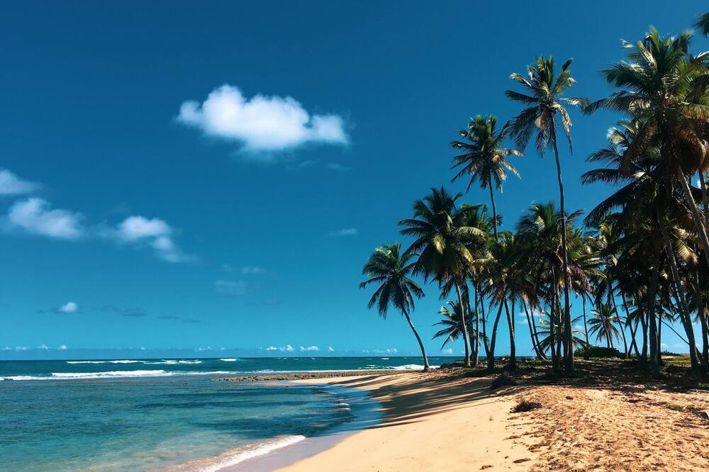 Photo of Others in Casa de Campo