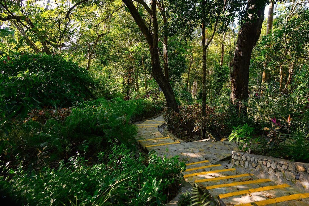 Photo of Outdoor in Puerto Plata