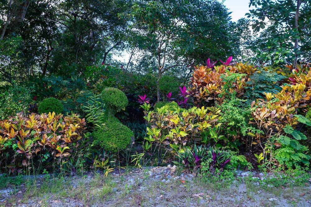 Photo of Outdoor in Puerto Plata