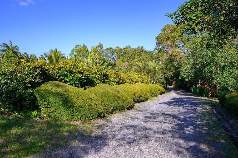 Photo of Outdoor in Puerto Plata