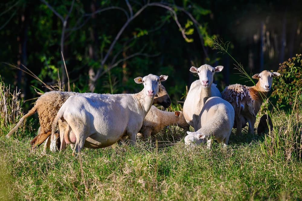 Photo of Outdoor in Puerto Plata