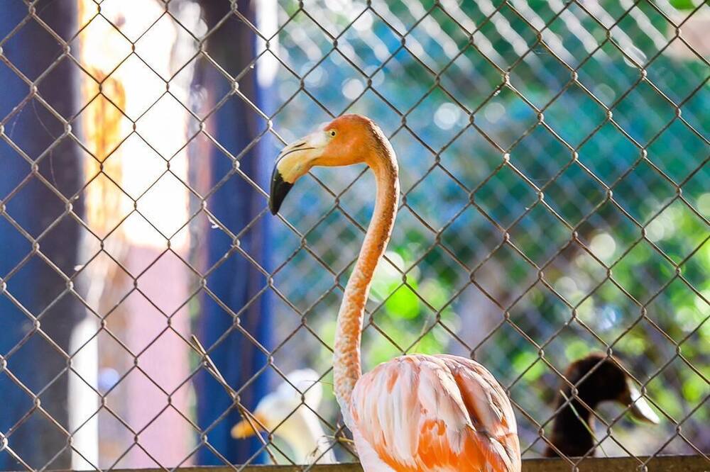 Photo of Others in Puerto Plata