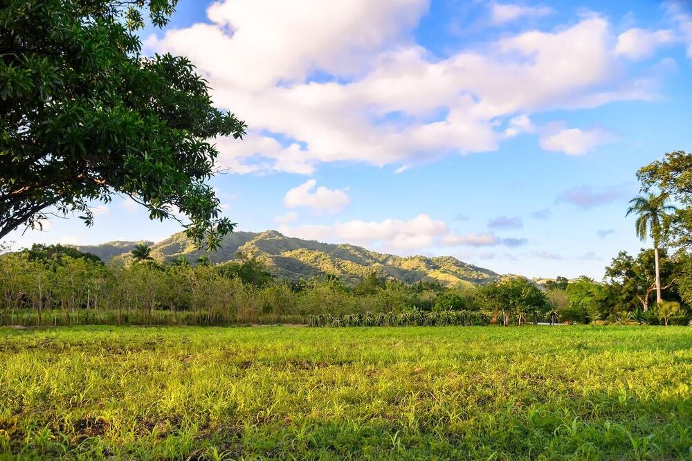 Photo of Outdoor in Puerto Plata