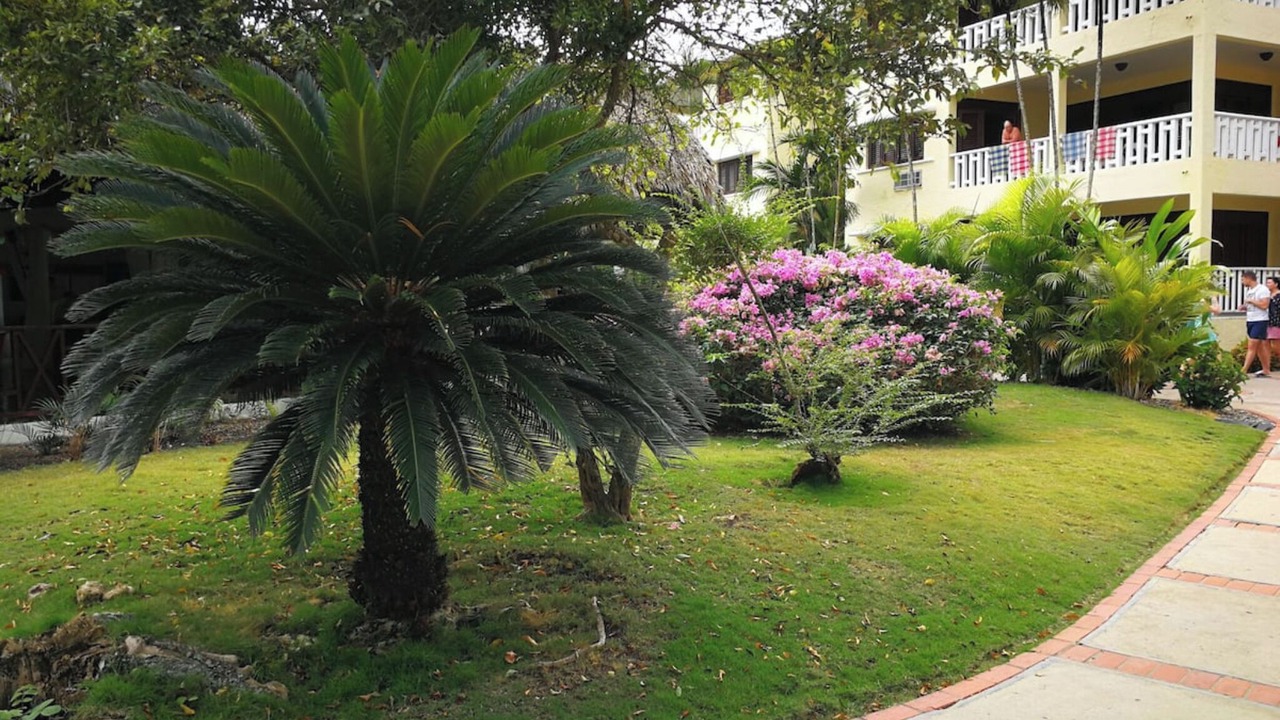 Photo of Outdoor in Reparto Ibarra